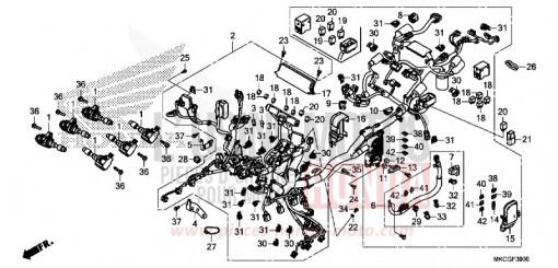 FAISCEAU DES FILS GL1800BDL de 2020